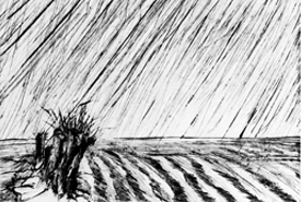 Landschaft im Regen