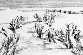 mecklenburgische Landschaft Weiden