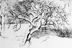 Nachbars Garten im Winter