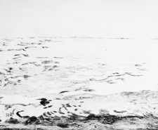 Strand im Winter